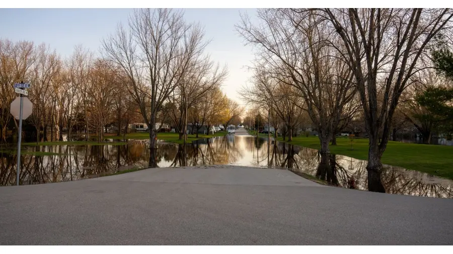 Peaceful spring scene of flooded park area in Wabasha, MN with bare trees reflecting in water.